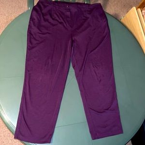 2X Purple Pants
